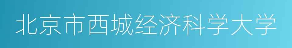 北京市西城经济科学大学的同义词