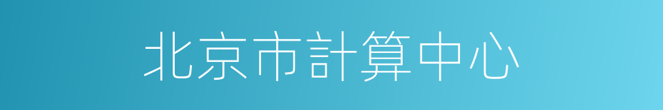 北京市計算中心的同義詞