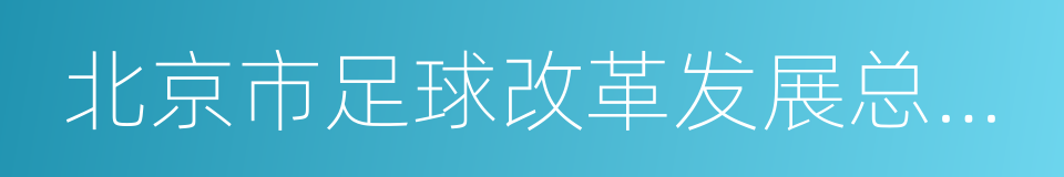 北京市足球改革发展总体方案的同义词