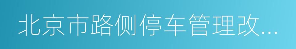 北京市路侧停车管理改革方案的同义词