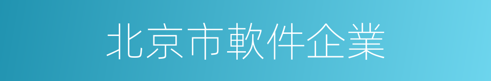 北京市軟件企業的同義詞