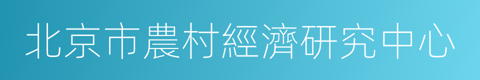 北京市農村經濟研究中心的同義詞