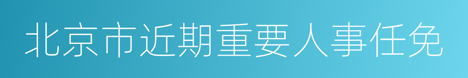 北京市近期重要人事任免的同义词