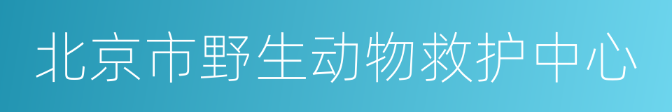 北京市野生动物救护中心的同义词