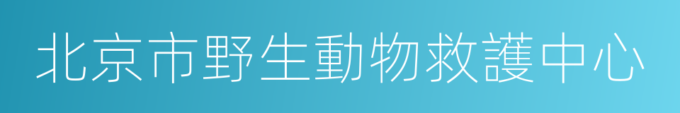 北京市野生動物救護中心的同義詞