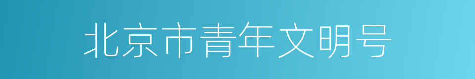 北京市青年文明号的同义词