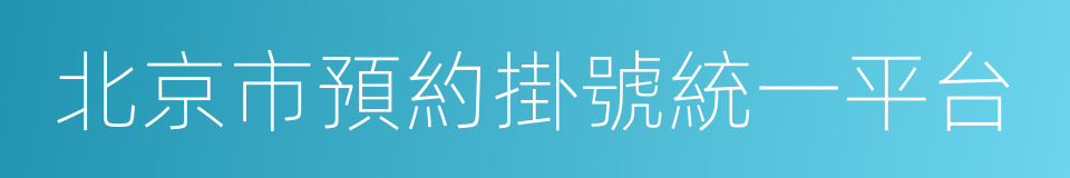 北京市預約掛號統一平台的同義詞