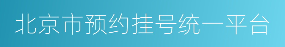 北京市预约挂号统一平台的同义词