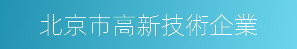 北京市高新技術企業的同義詞