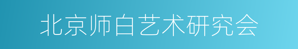 北京师白艺术研究会的同义词