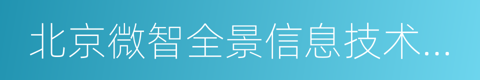 北京微智全景信息技术有限公司的同义词