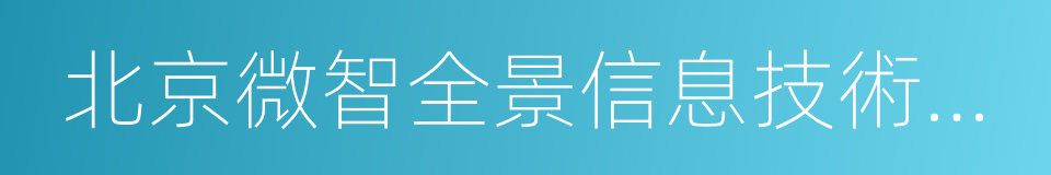 北京微智全景信息技術有限公司的同義詞