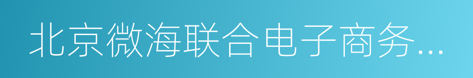 北京微海联合电子商务有限公司的同义词