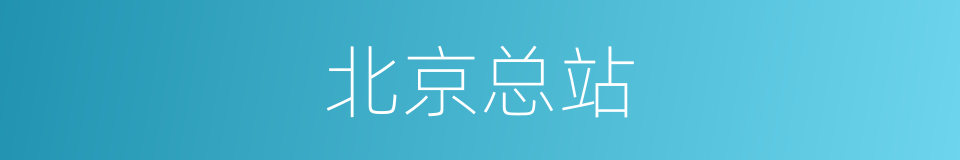 北京总站的同义词
