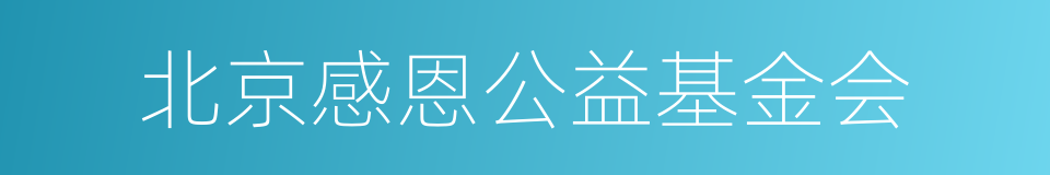 北京感恩公益基金会的同义词