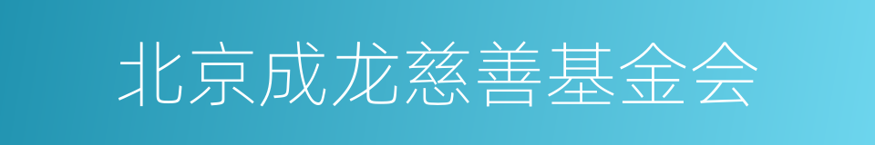 北京成龙慈善基金会的同义词