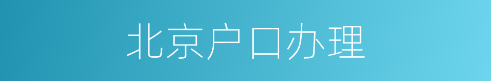 北京户口办理的同义词