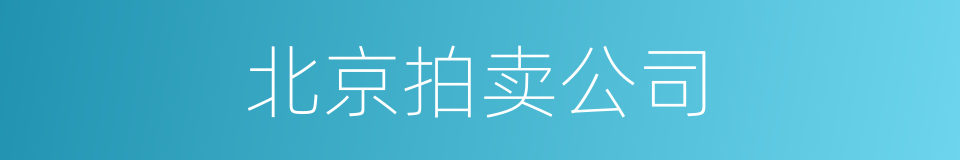 北京拍卖公司的同义词