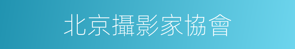 北京攝影家協會的同義詞