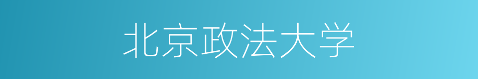 北京政法大学的同义词