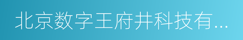 北京数字王府井科技有限公司的同义词