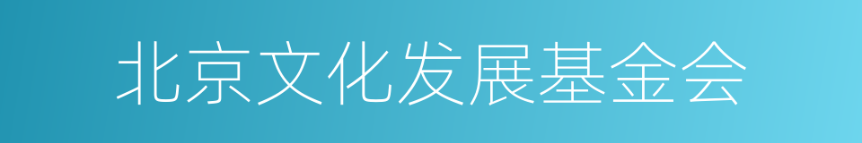 北京文化发展基金会的同义词