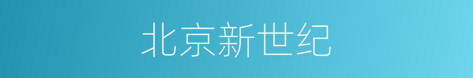 北京新世纪的同义词