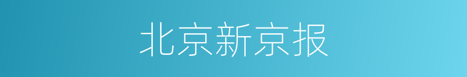 北京新京报的同义词