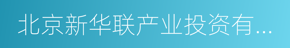 北京新华联产业投资有限公司的同义词