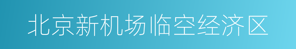 北京新机场临空经济区的同义词