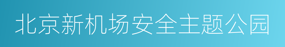 北京新机场安全主题公园的同义词