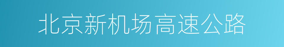 北京新机场高速公路的同义词