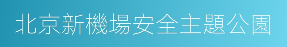 北京新機場安全主題公園的同義詞