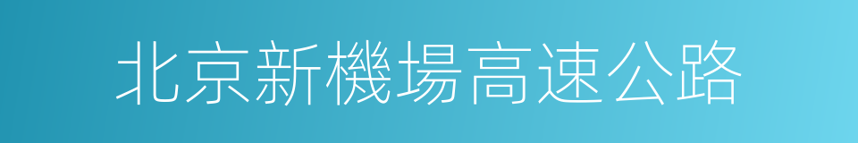 北京新機場高速公路的同義詞