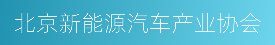 北京新能源汽车产业协会的同义词