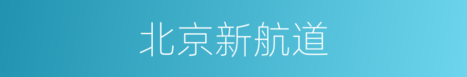 北京新航道的同义词