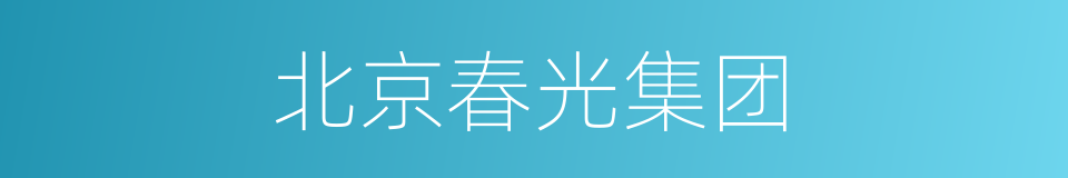 北京春光集团的同义词