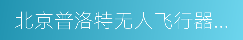 北京普洛特无人飞行器科技有限公司的同义词