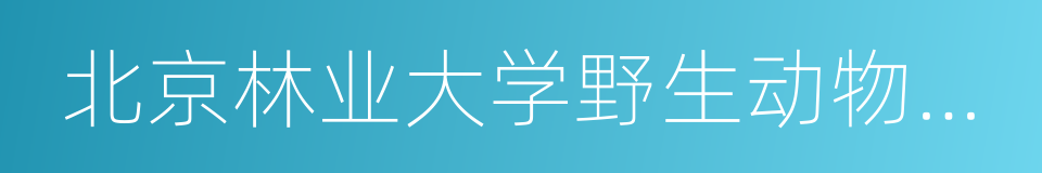 北京林业大学野生动物研究所的同义词