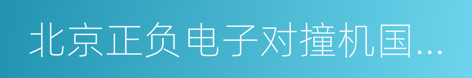 北京正负电子对撞机国家实验室的同义词