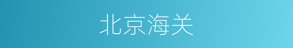 北京海关的同义词