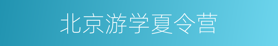 北京游学夏令营的同义词