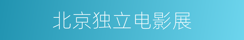 北京独立电影展的同义词