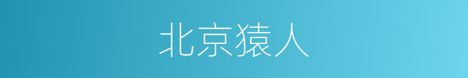 北京猿人的意思