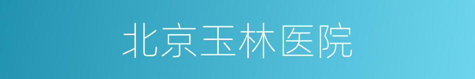 北京玉林医院的同义词