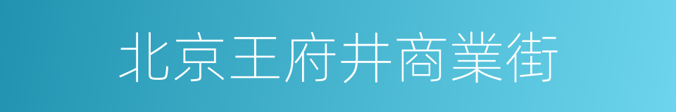 北京王府井商業街的同義詞