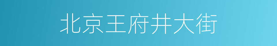 北京王府井大街的同义词