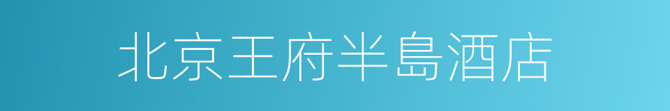 北京王府半島酒店的同義詞