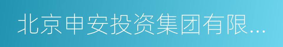 北京申安投资集团有限公司的同义词