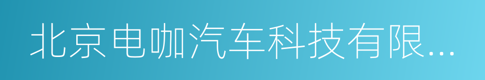 北京电咖汽车科技有限公司的同义词